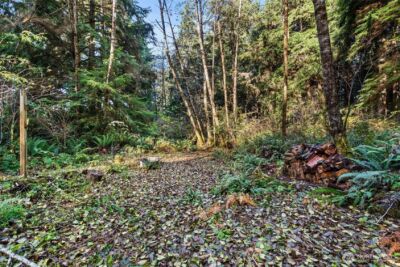 0 Lot 35 Bay Lane , South Bend, WA 98596 - Photo 9