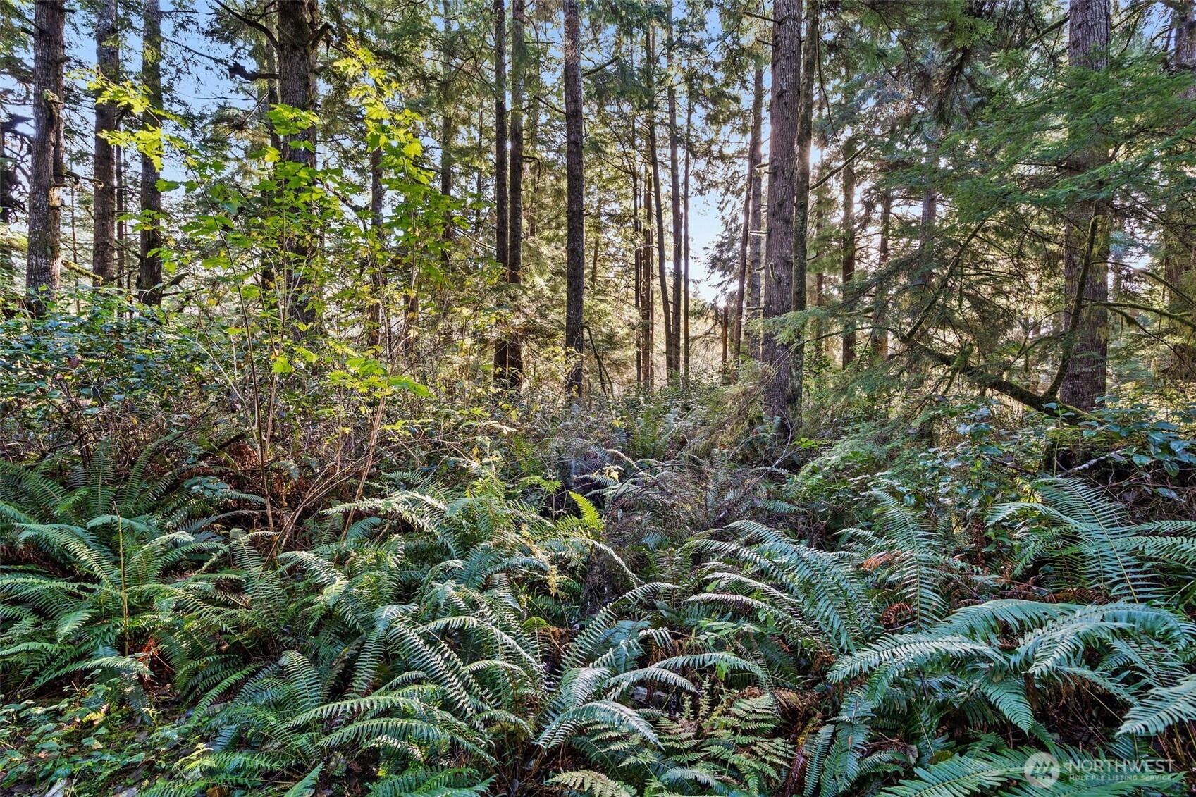 0 Lot 35 Bay Lane , South Bend, WA 98596