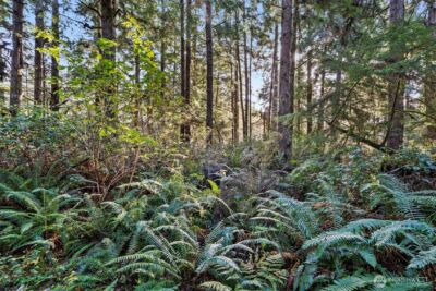 0 Lot 35 Bay Lane , South Bend, WA 98596 - Photo 10