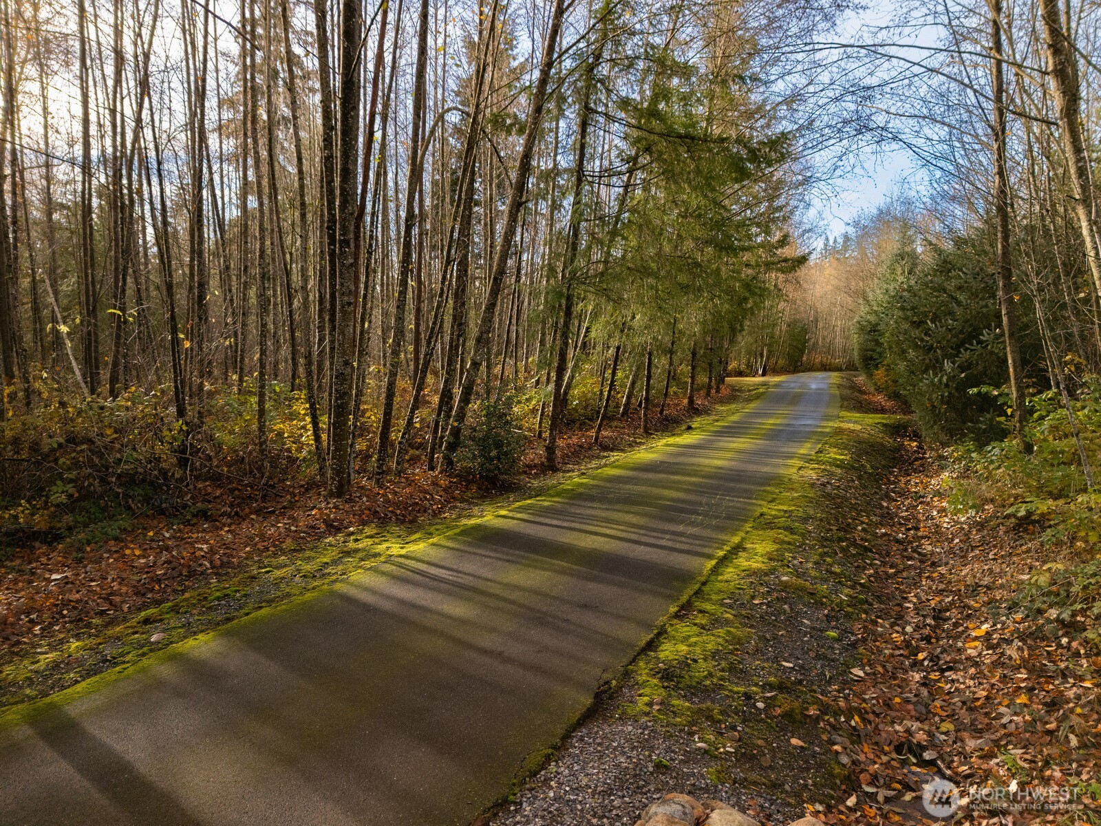 9524 Freedom Place , Blaine, WA 98230