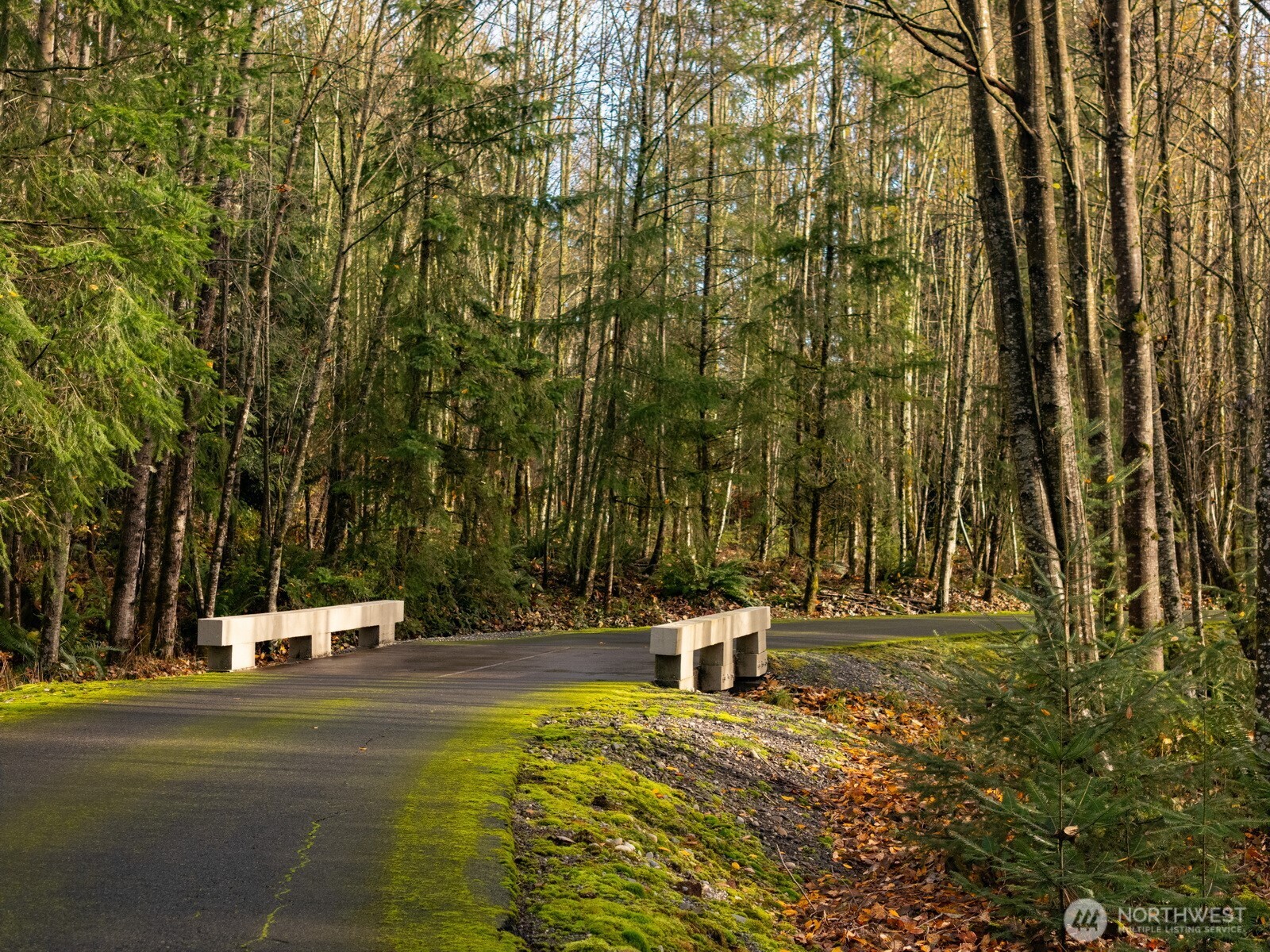 9524 Freedom Place , Blaine, WA 98230