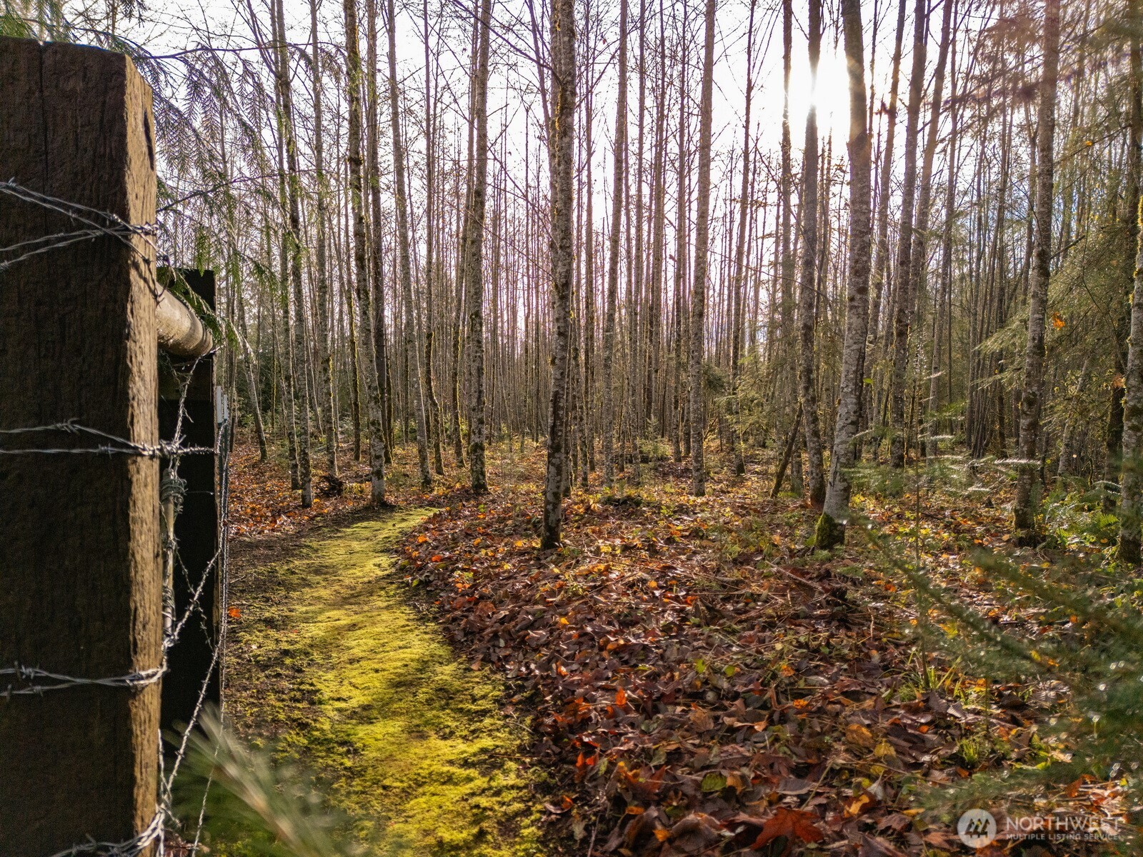 9524 Freedom Place , Blaine, WA 98230