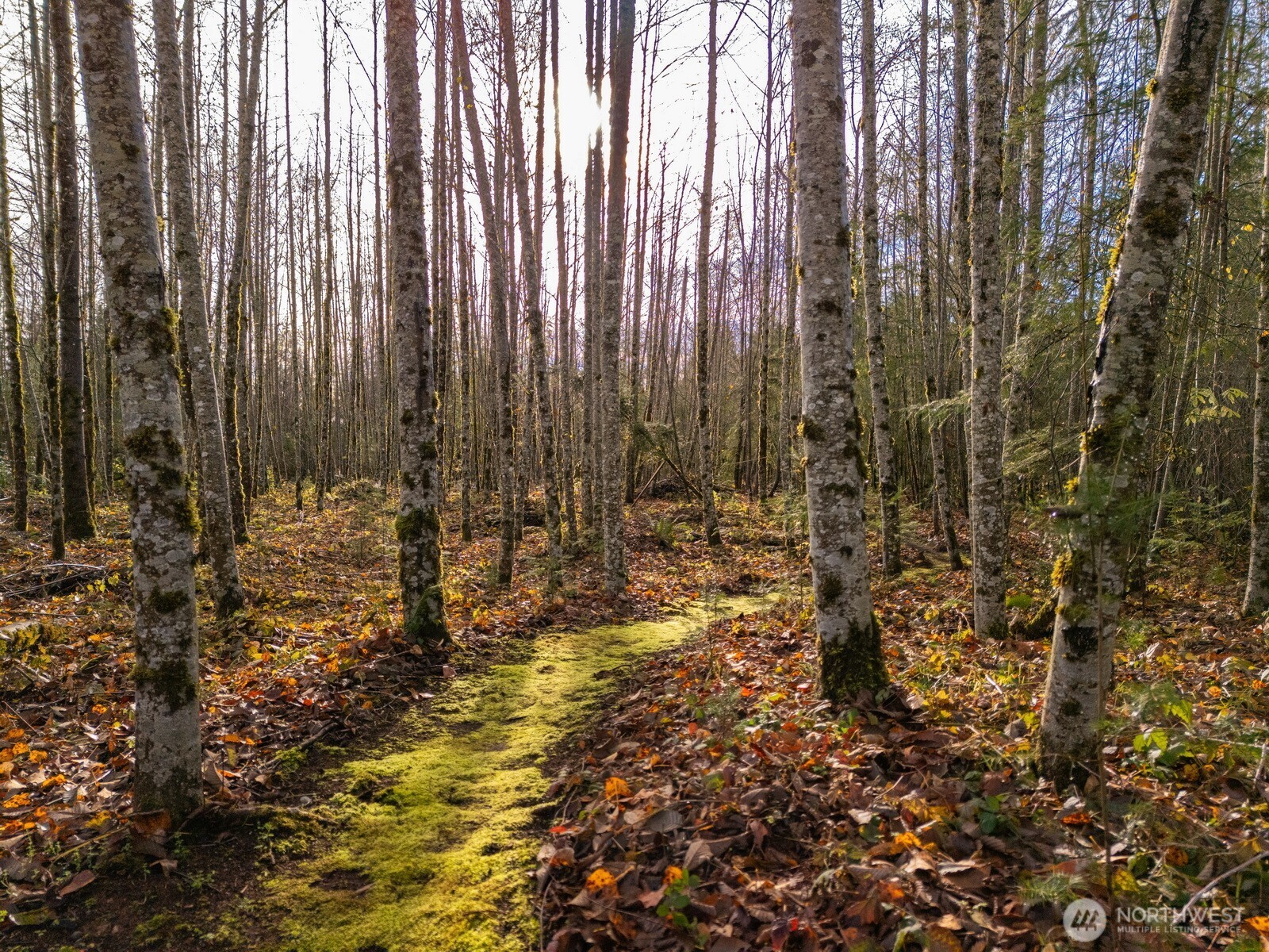 9524 Freedom Place , Blaine, WA 98230