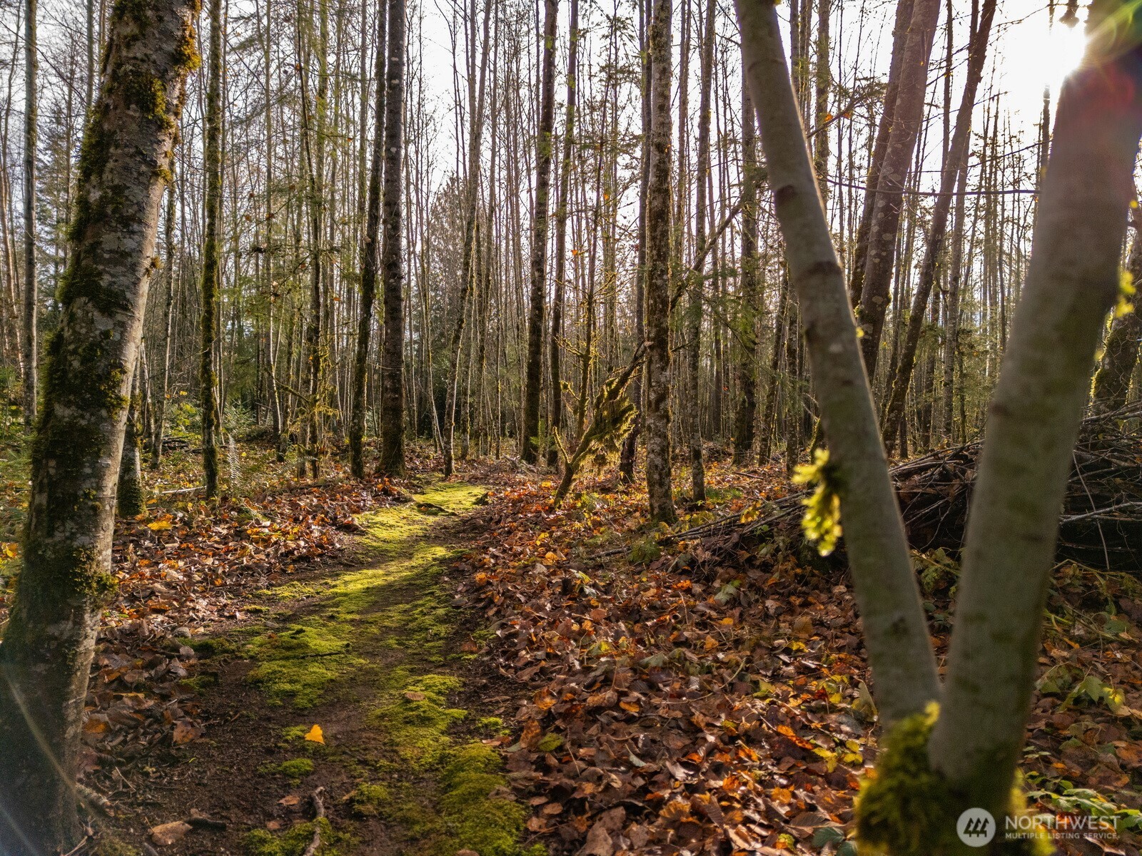 9524 Freedom Place , Blaine, WA 98230