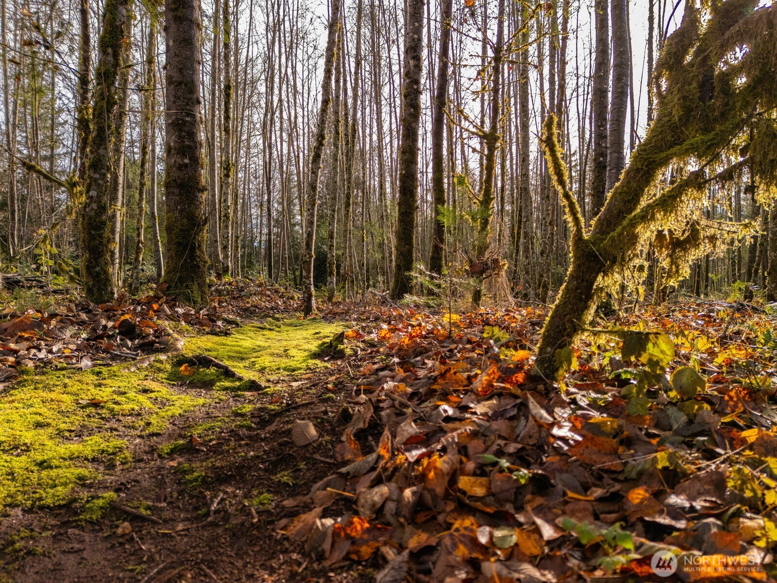 9524 Freedom Place , Blaine, WA 98230