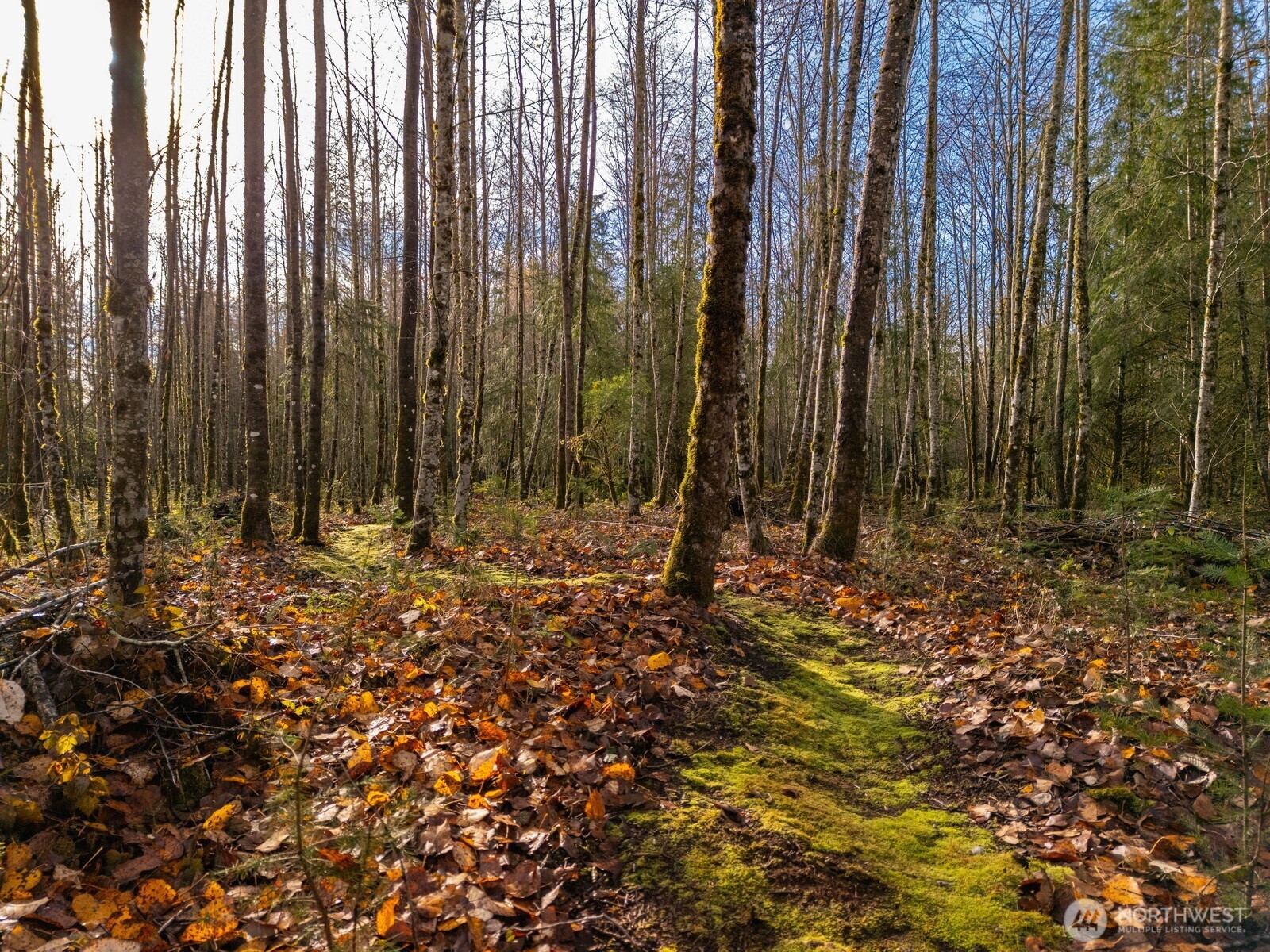 9524 Freedom Place , Blaine, WA 98230