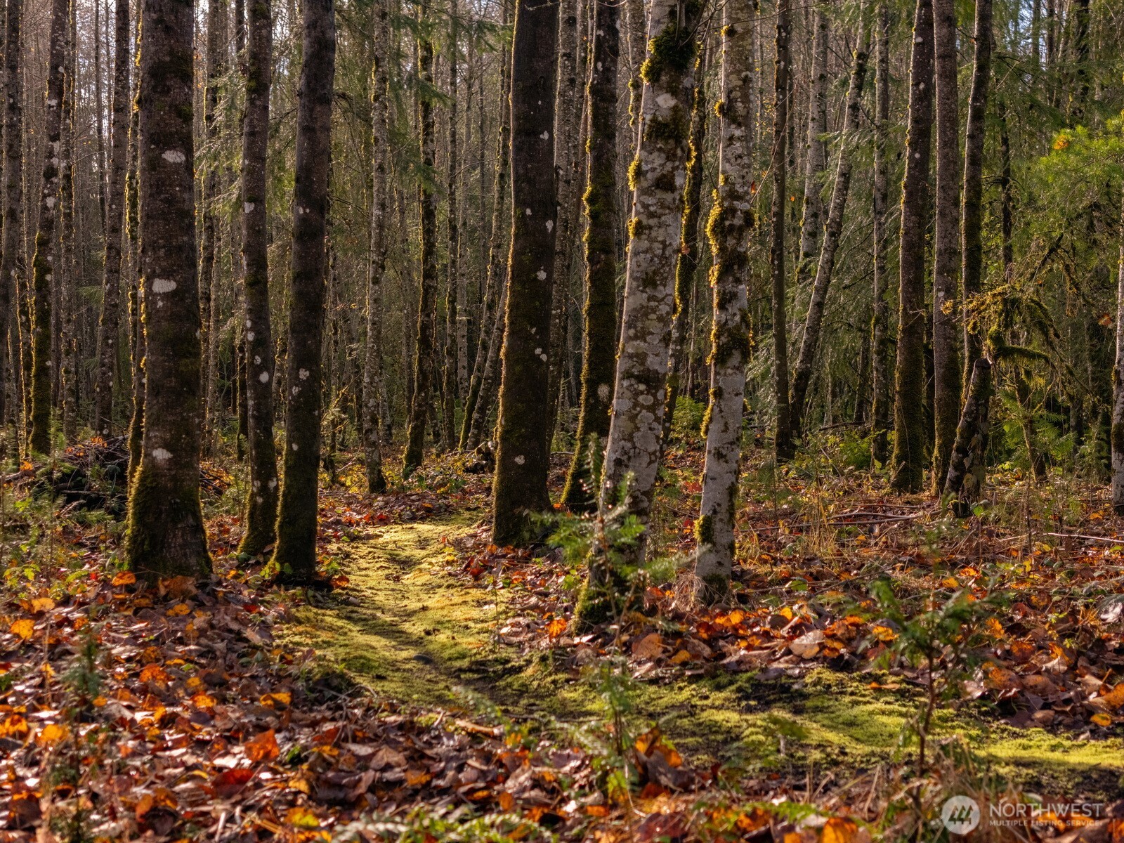 9524 Freedom Place , Blaine, WA 98230