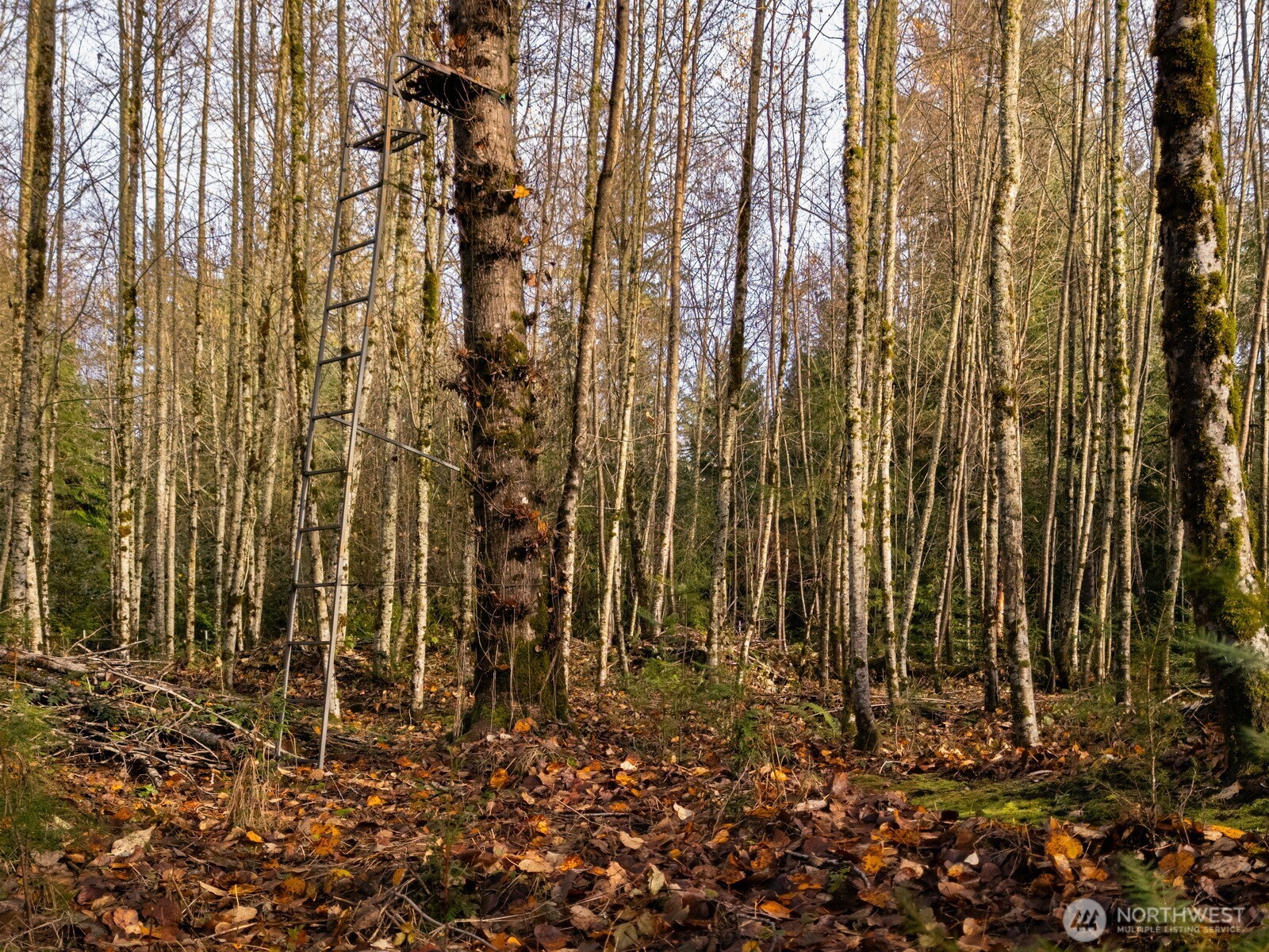 9524 Freedom Place , Blaine, WA 98230