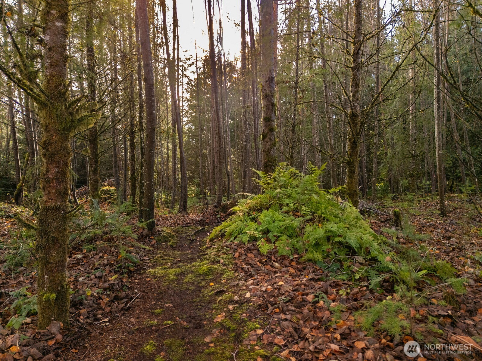 9524 Freedom Place , Blaine, WA 98230