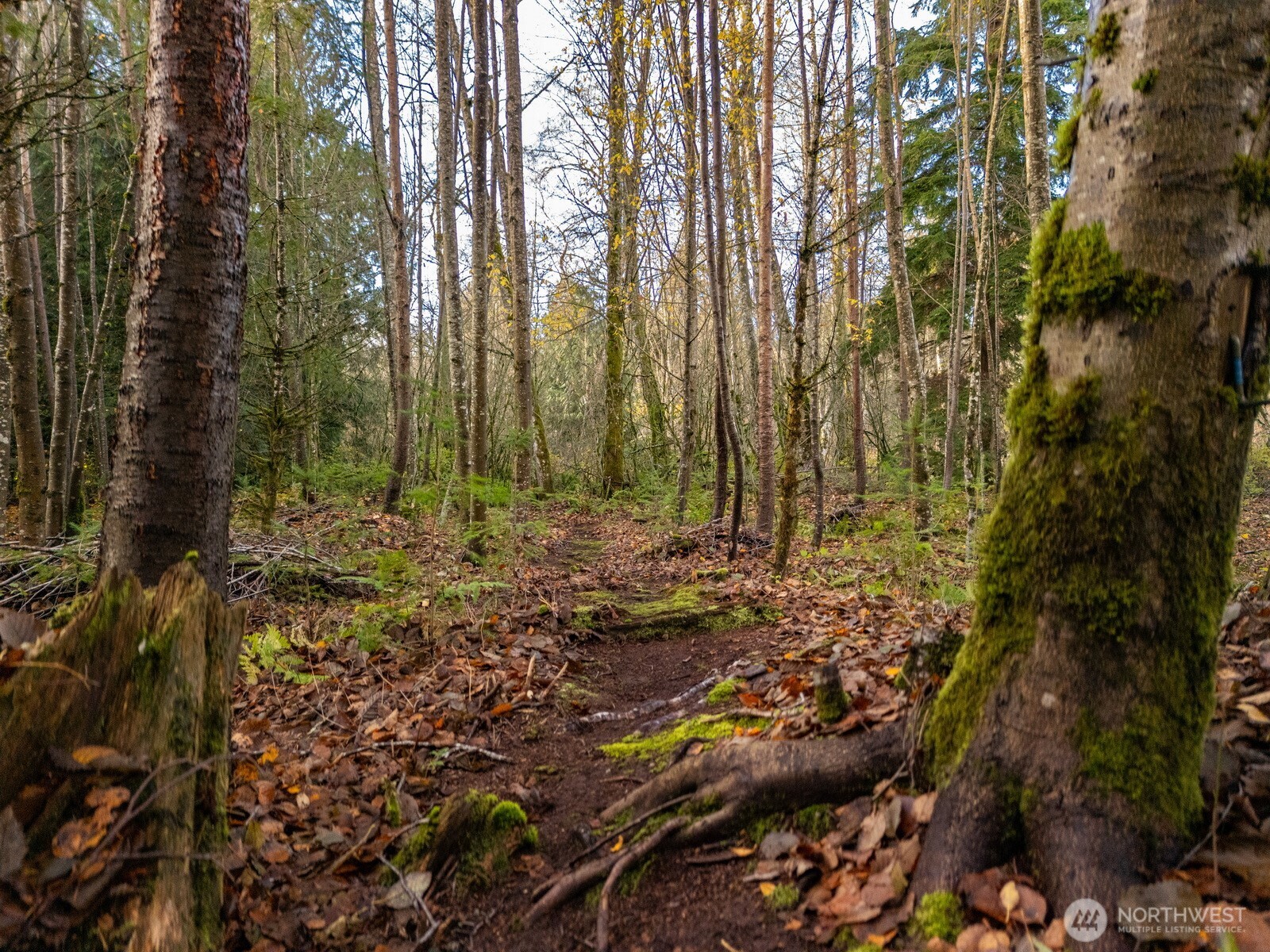 9524 Freedom Place , Blaine, WA 98230