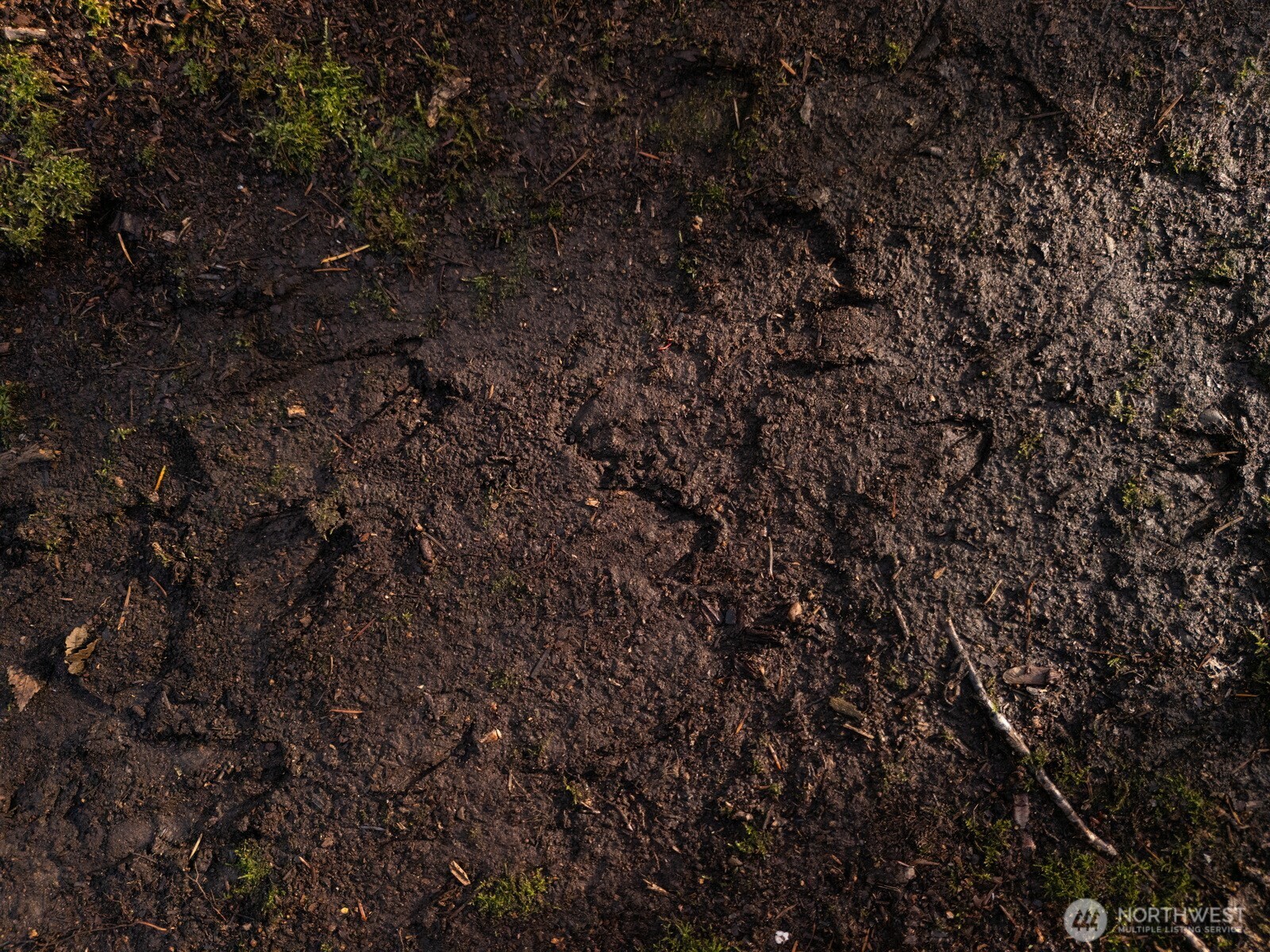 9524 Freedom Place , Blaine, WA 98230