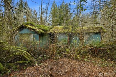 19115 238th Avenue NE, Woodinville, WA 98077 - Photo 7