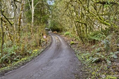 19115 238th Avenue NE, Woodinville, WA 98077 - Photo 10