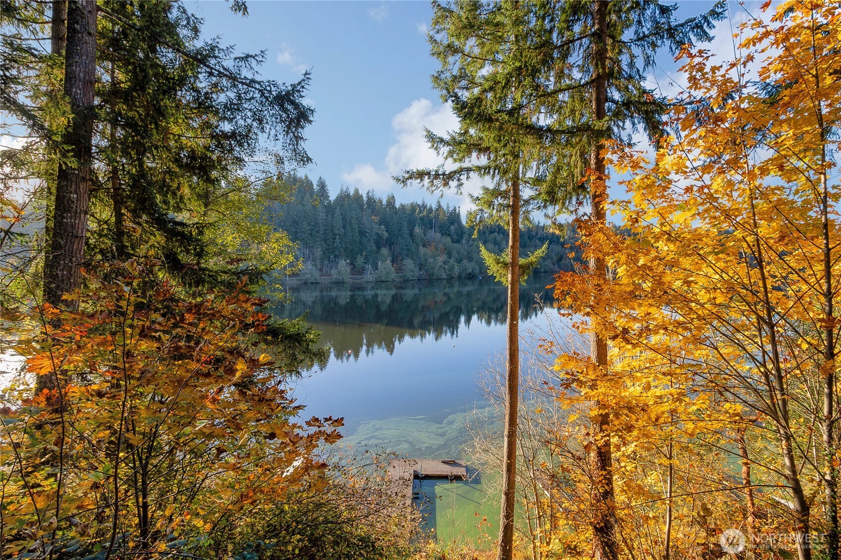 40424 Ski Park Road E, Eatonville, WA 98328