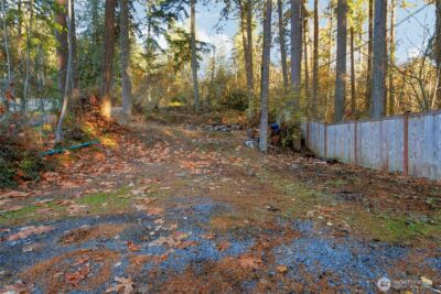 40424 Ski Park Road E, Eatonville, WA 98328 - Photo 16