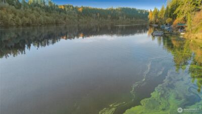 40424 Ski Park Road E, Eatonville, WA 98328 - Photo 28