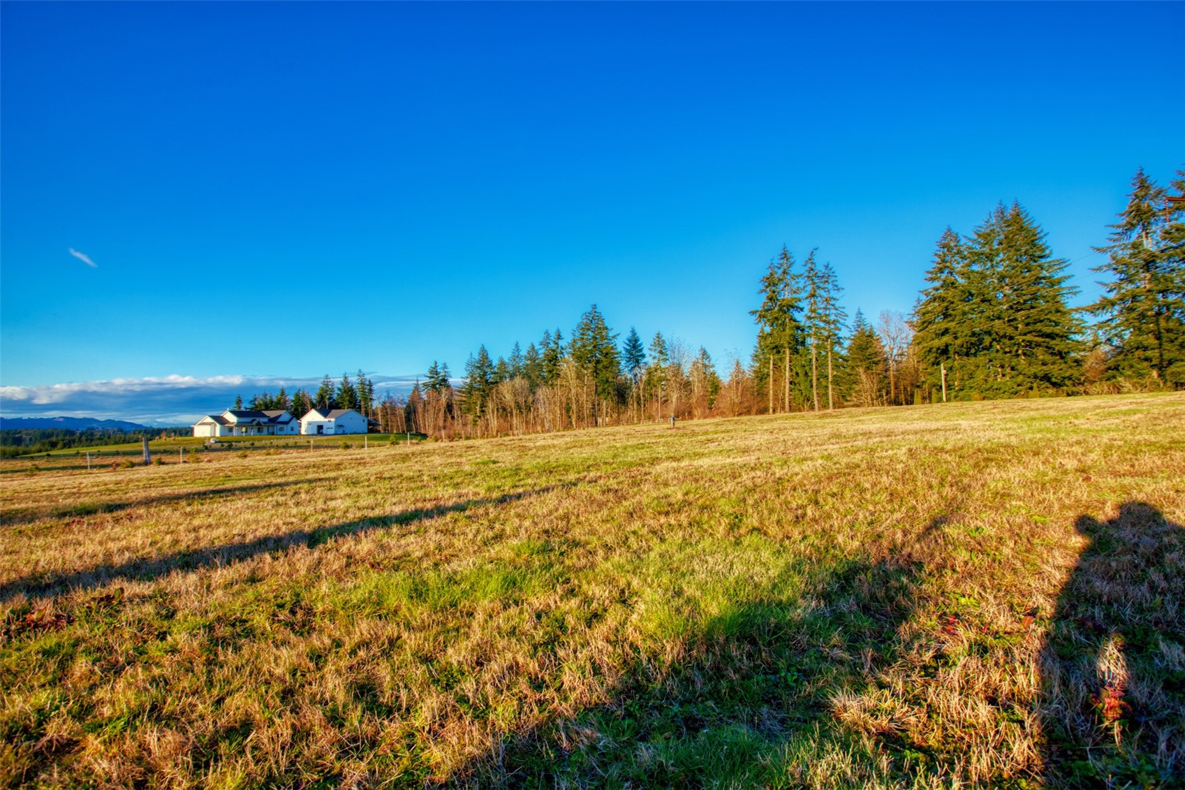 14010 Quiet Waters Lane SW, Rochester, WA 98579