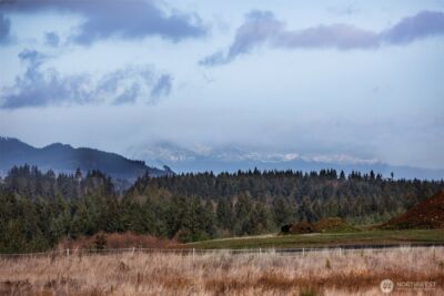 14010 Quiet Waters Lane SW, Rochester, WA 98579 - Photo 12