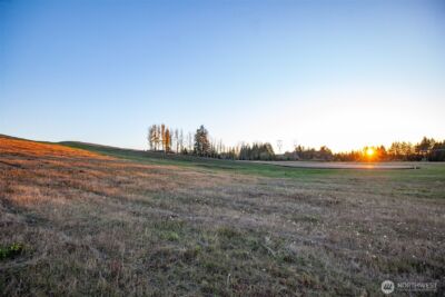 14010 Quiet Waters Lane SW, Rochester, WA 98579 - Photo 17
