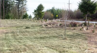 14010 Quiet Waters Lane SW, Rochester, WA 98579 - Photo 10