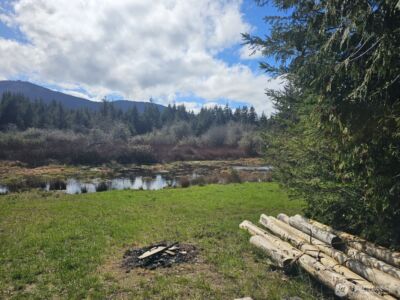 9999 Crescent Beach Rd , Port Angeles, WA 98363 - Photo 6