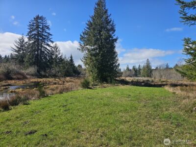 9999 Crescent Beach Rd , Port Angeles, WA 98363 - Photo 7