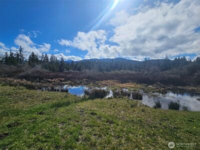 9999 Crescent Beach Rd , Port Angeles, WA 98363 - Photo 10