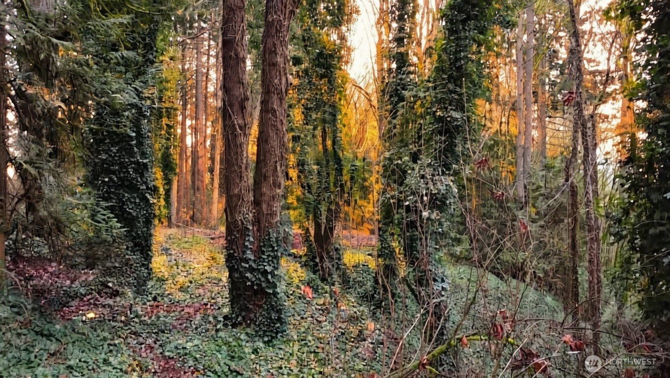 7017 NE 132 , Kirkland, WA 98034