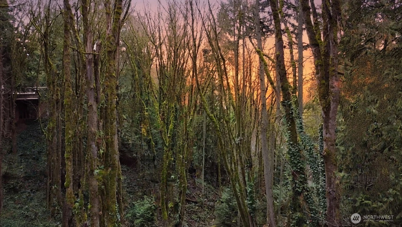 7017 NE 132 , Kirkland, WA 98034