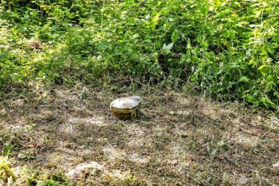 28215 SE 216th Street , Maple Valley, WA 98038 - Photo 11