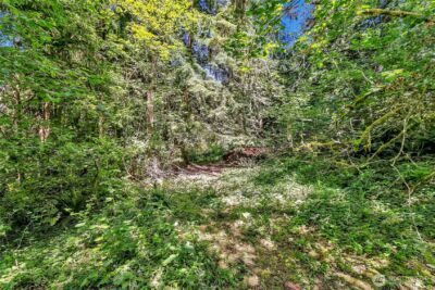 28215 SE 216th Street , Maple Valley, WA 98038 - Photo 12