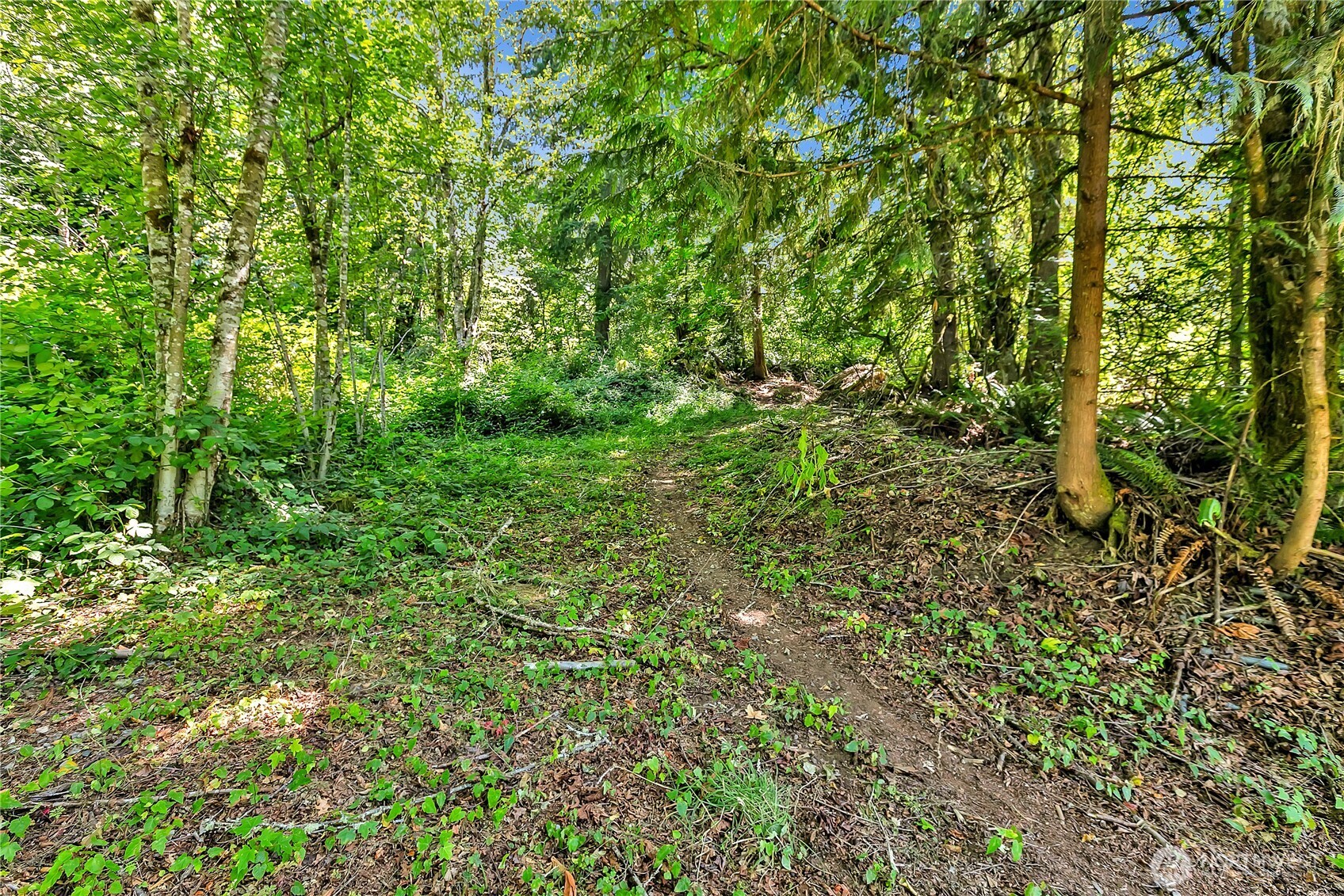 28215 SE 216th Street , Maple Valley, WA 98038