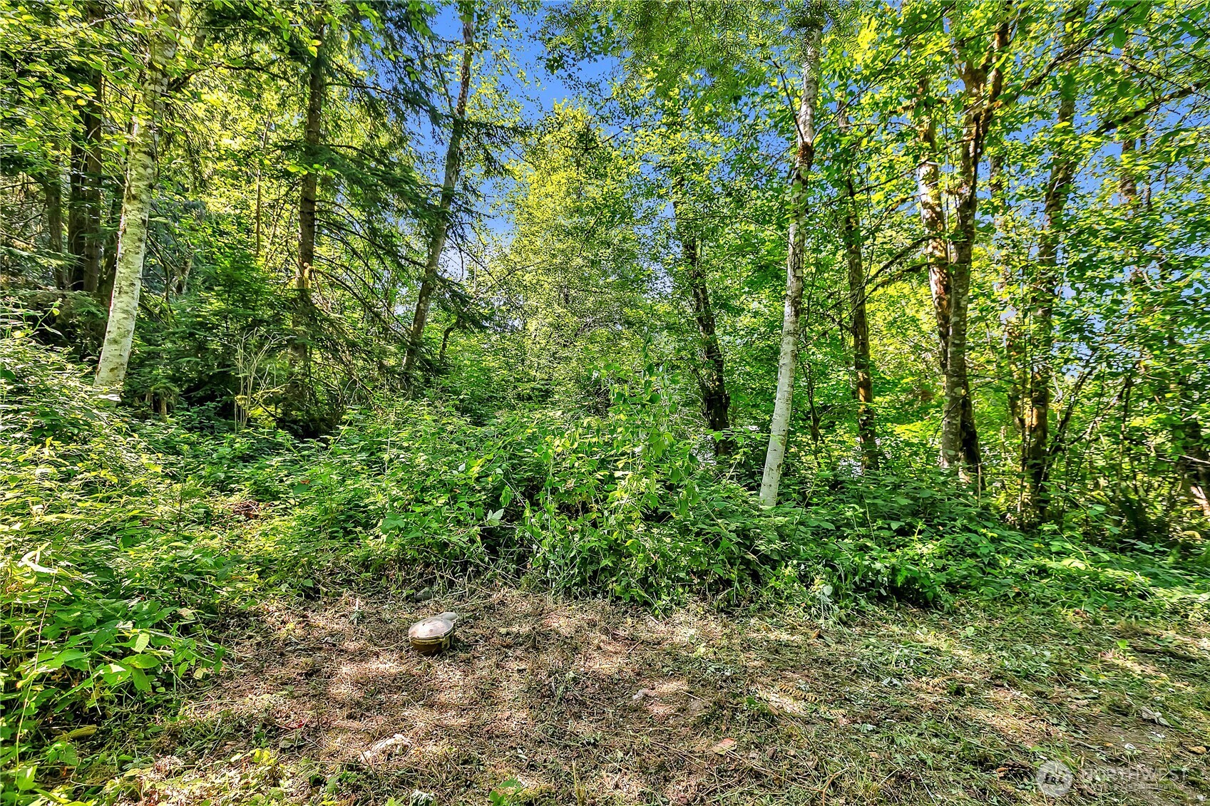 28215 SE 216th Street , Maple Valley, WA 98038