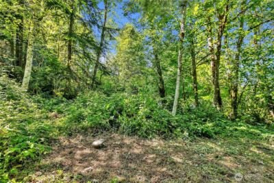 28215 SE 216th Street , Maple Valley, WA 98038 - Photo 10