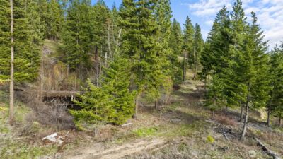 0 XXX Game Trail Road , Cle Elum, WA 98922 - Photo 1