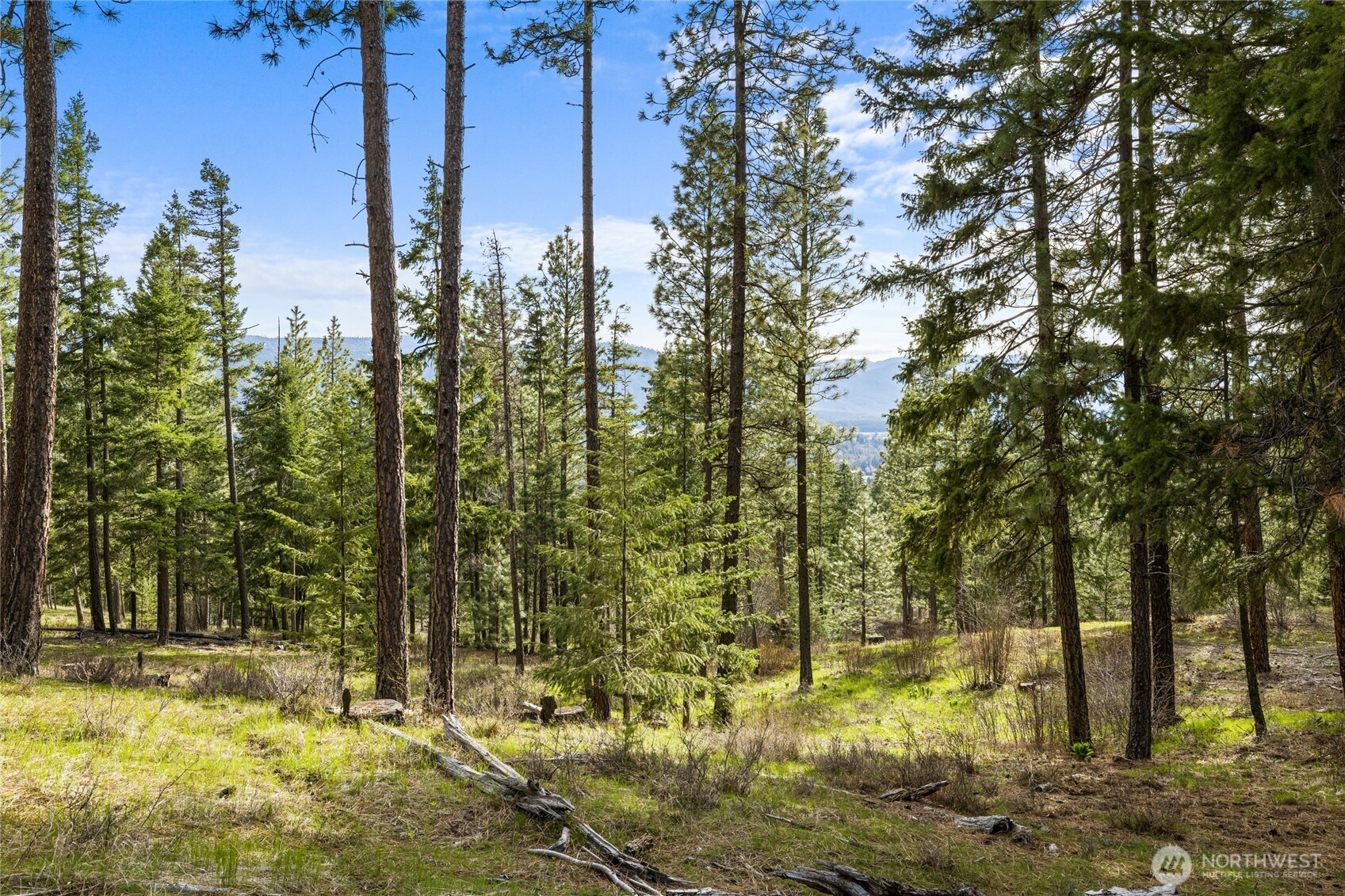 0 XXX Game Trail Road , Cle Elum, WA 98922