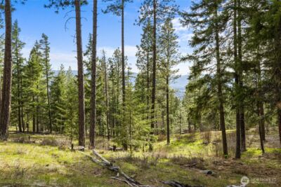 0 XXX Game Trail Road , Cle Elum, WA 98922 - Photo 2