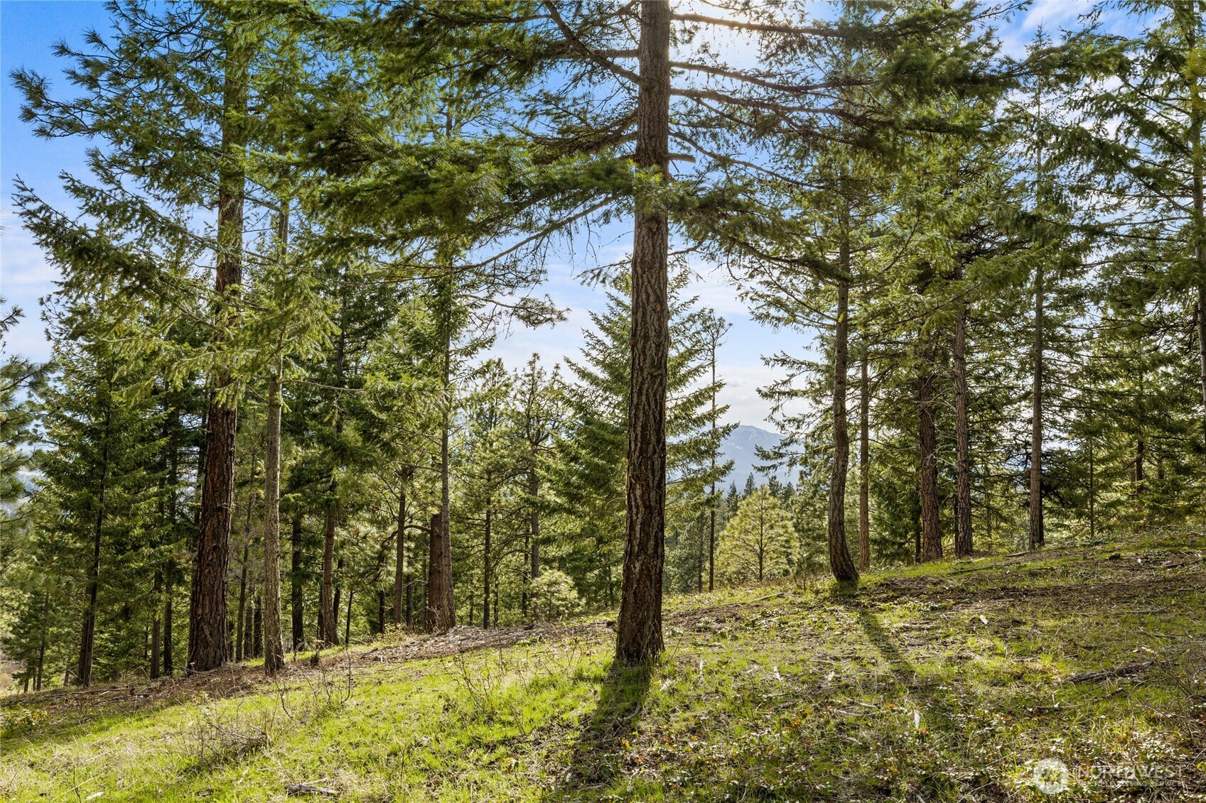 0 XXX Game Trail Road , Cle Elum, WA 98922