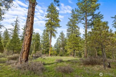 0 XXX Game Trail Road , Cle Elum, WA 98922 - Photo 4