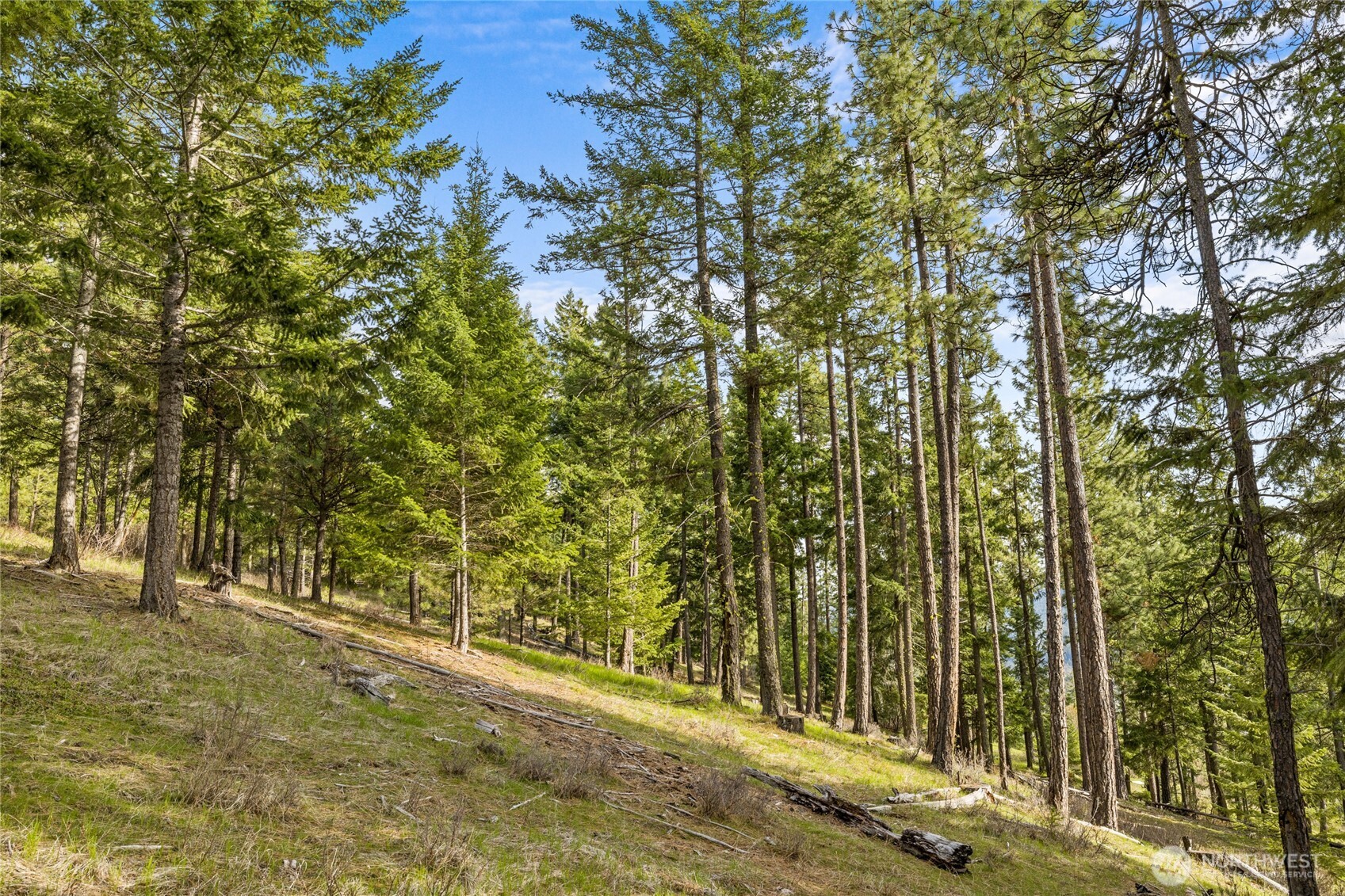 0 XXX Game Trail Road , Cle Elum, WA 98922