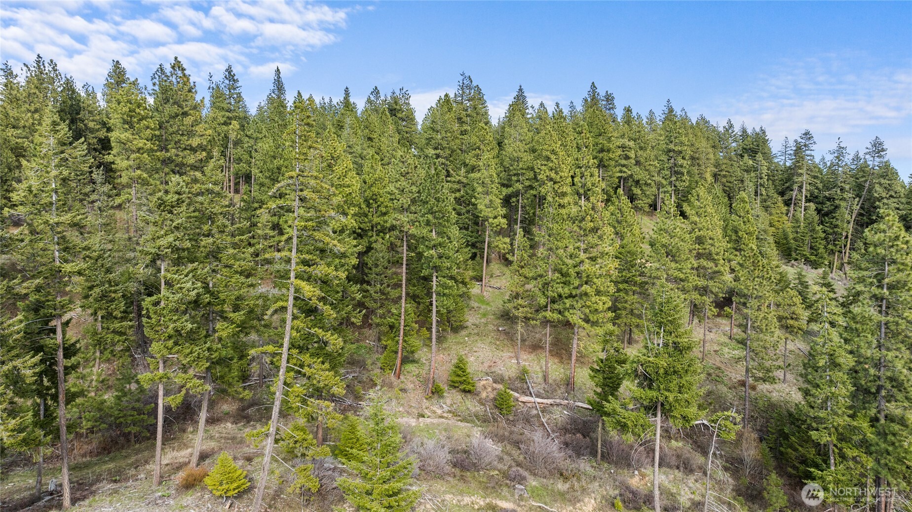 0 XXX Game Trail Road , Cle Elum, WA 98922