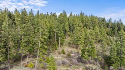 0 XXX Game Trail Road , Cle Elum, WA 98922 - Photo 6