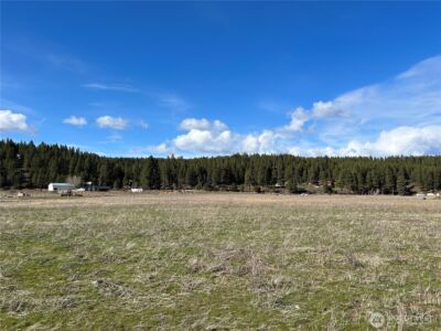 0 XXX Red Bridge Road , Cle Elum, WA 98922 - Photo 6