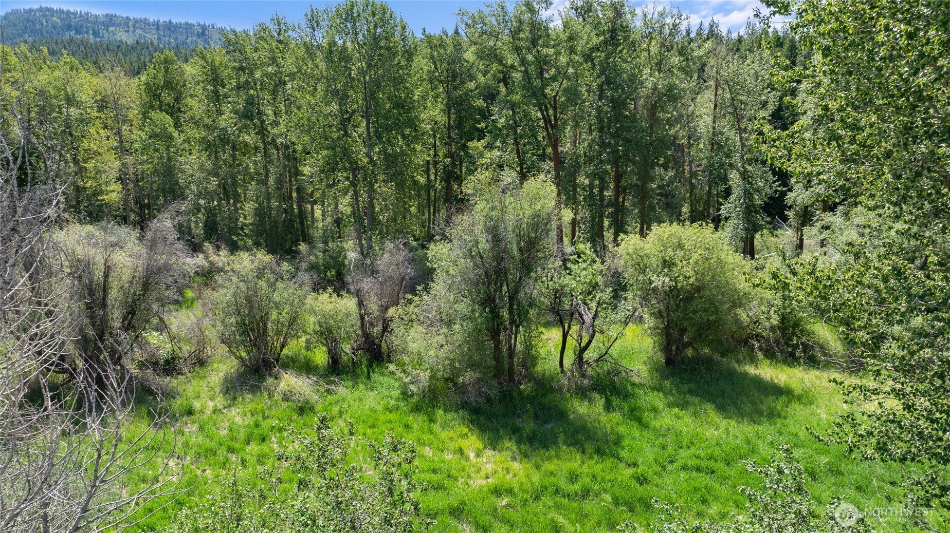 0 XXX SR 970 , Cle Elum, WA 98922