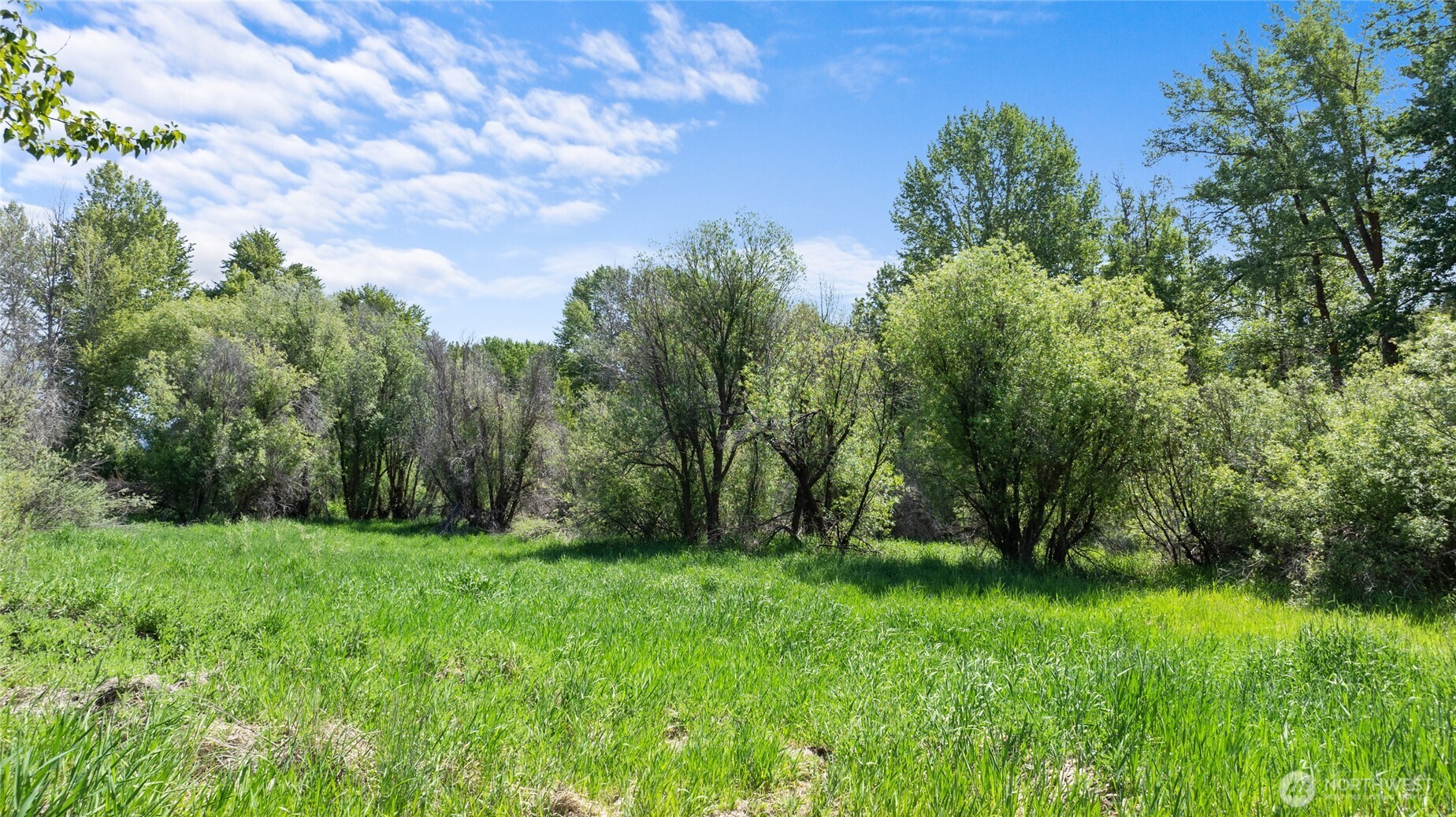 0 XXX SR 970 , Cle Elum, WA 98922