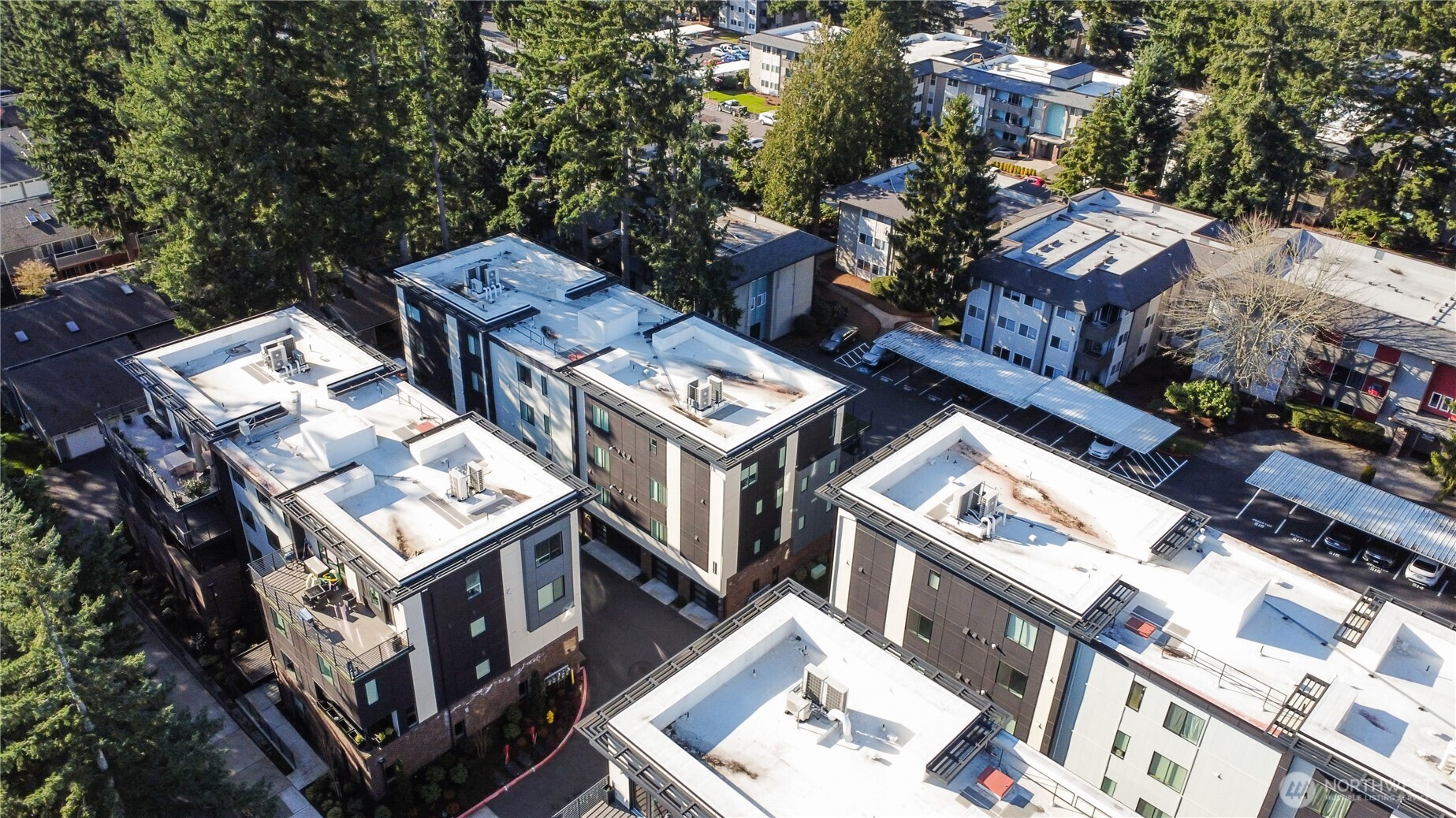 15538 NE 15th Place #301, Bellevue, WA 98007