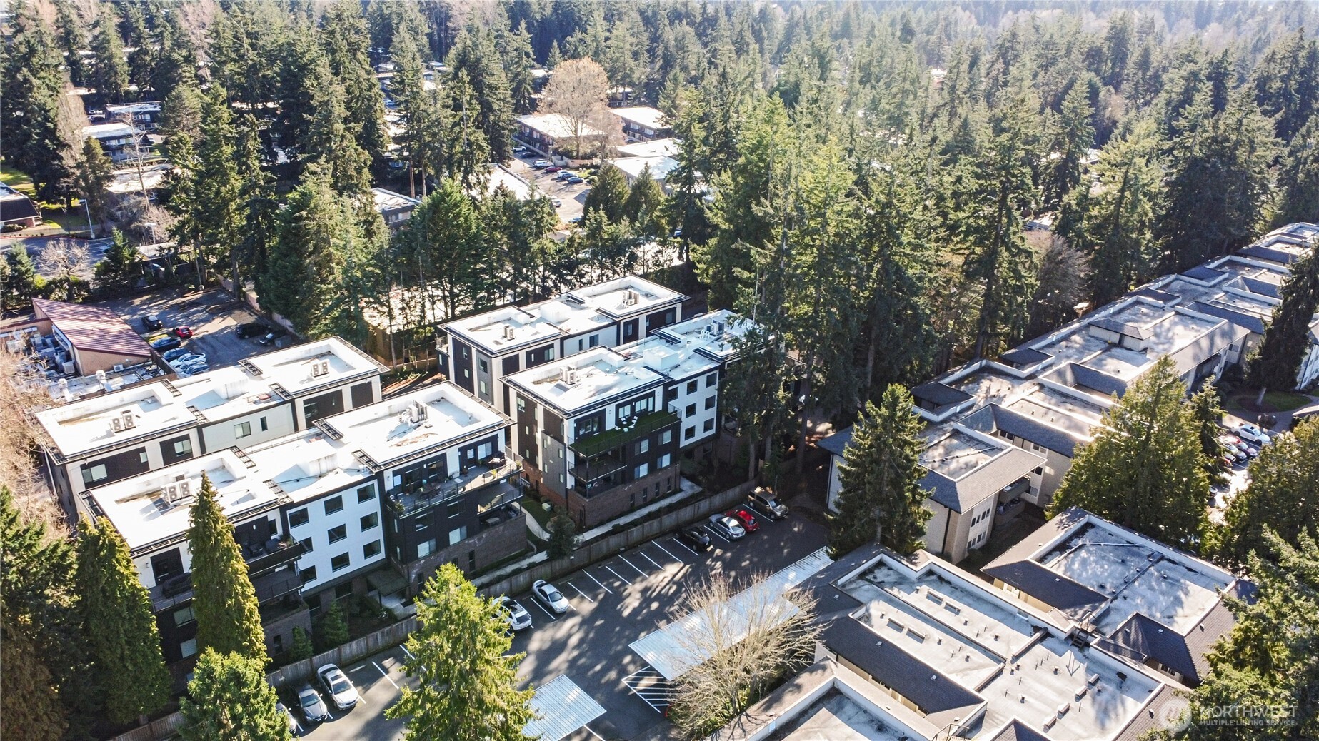 15538 NE 15th Place #301, Bellevue, WA 98007