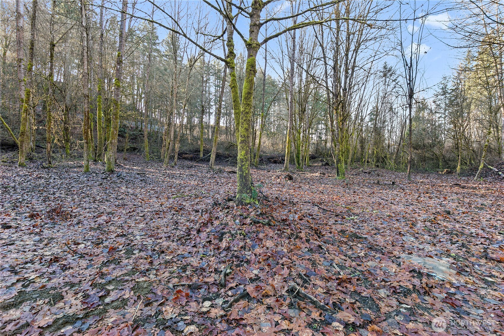 2900 53rd Street SE, Auburn, WA 98092