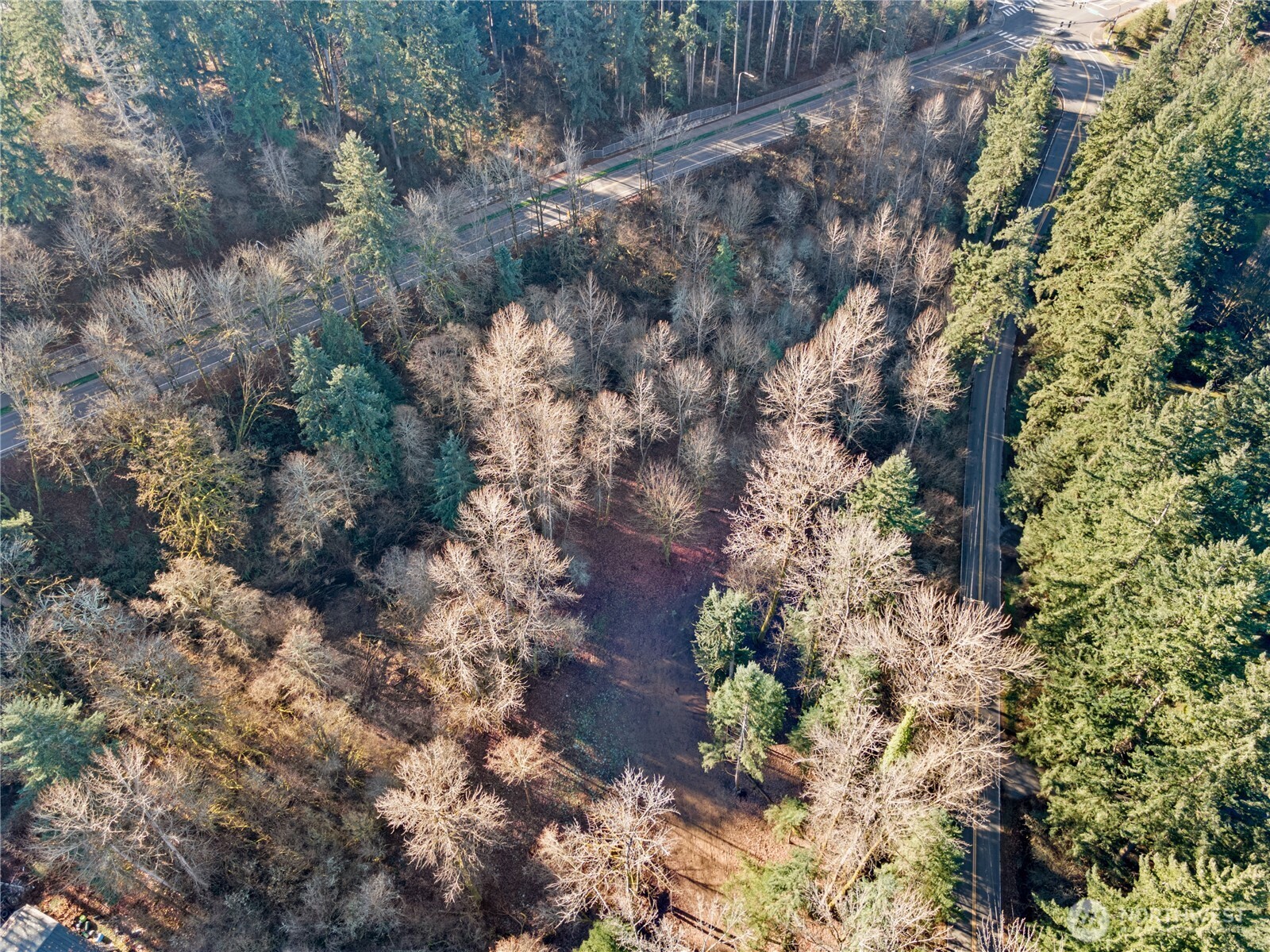 2900 53rd Street SE, Auburn, WA 98092