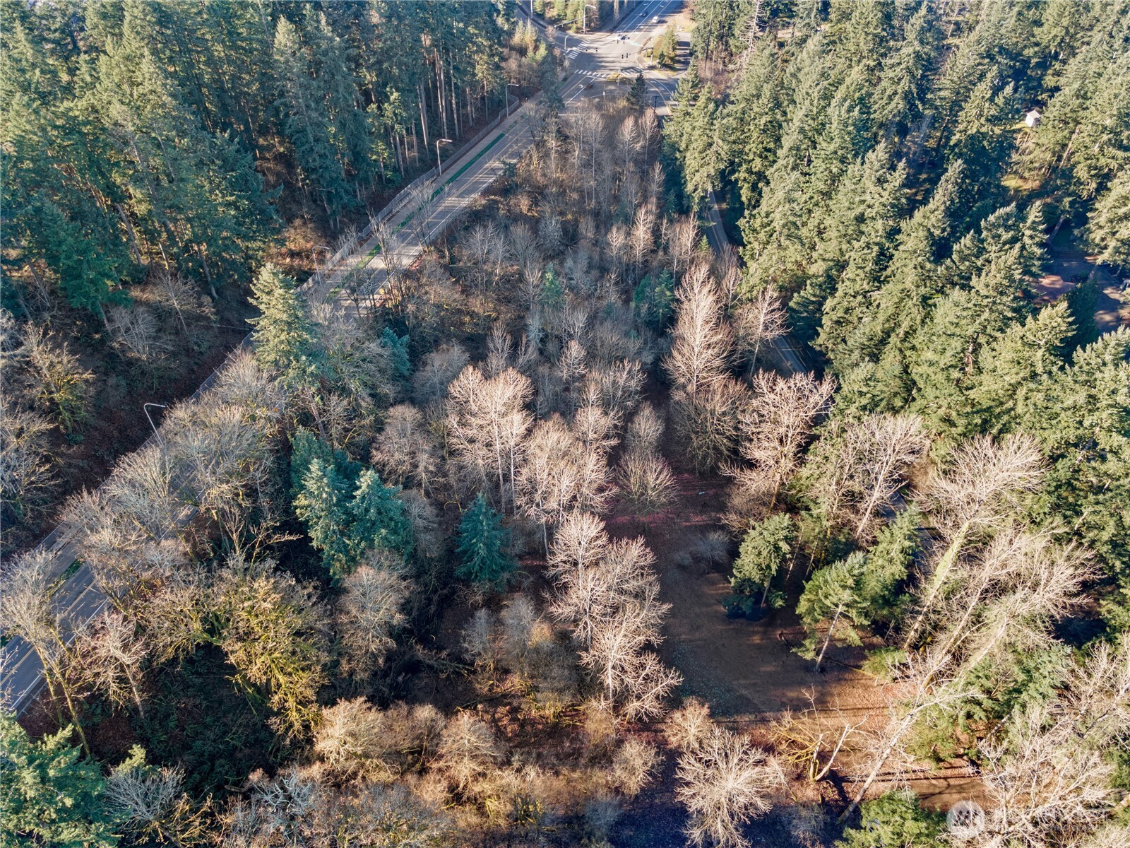 2900 53rd Street SE, Auburn, WA 98092